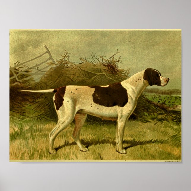 Impresión de perros de punteros de época de 1881 (Frente)