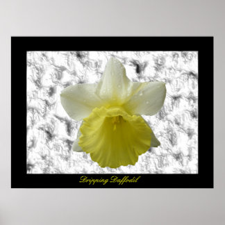 Impresión de Personalizable Daffoldil