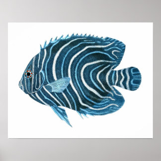 Impresión de pescado tropical azul no.1