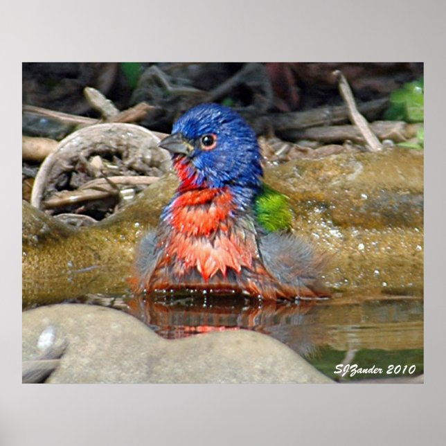 Impresión de pintura húmeda (Frente)