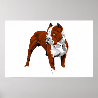 Impresión de Pitbull