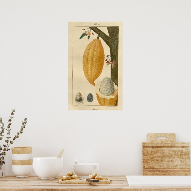 Impresión de planta de cacao (Cocina)