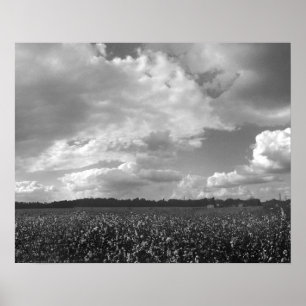 Impresión de Poster blanco y negro en el paisaje d