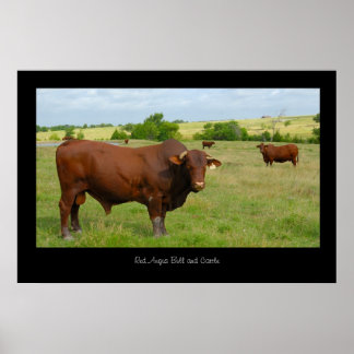 Impresión de Poster bovino rojo angus