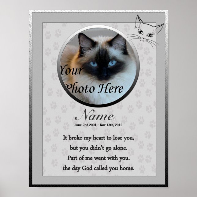 Impresión de Poster conmemorativo del gato - verso (Frente)