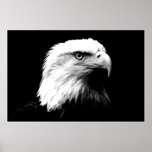 Impresión de Poster de águila del águila del águil
