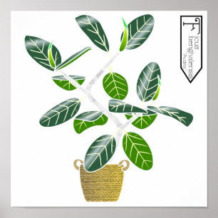 Impresión de Poster de árbol de higos ficus bengha