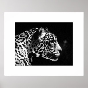 Impresión de Poster de arte pop jaguar - Posters j