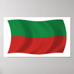 Impresión de Poster de bandera de la Nación Sac y