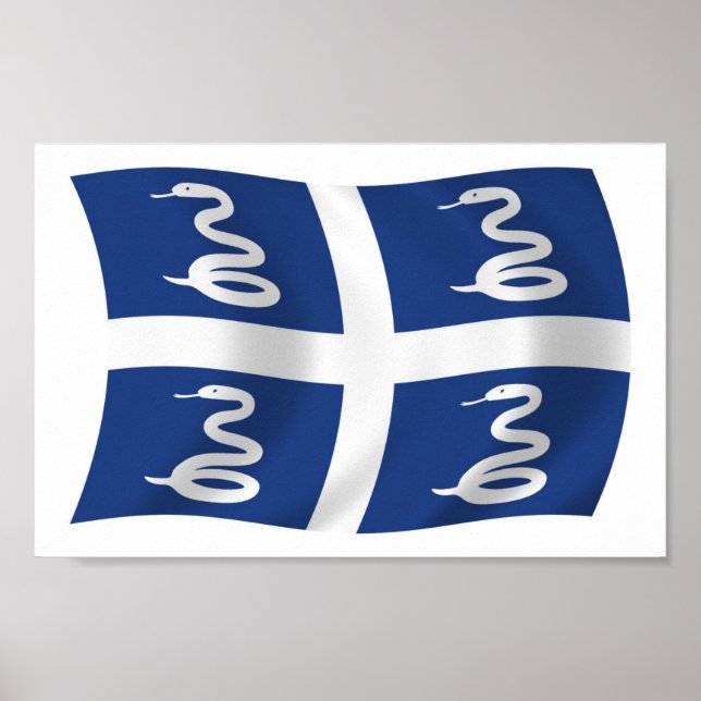 Impresión de Poster de bandera de Martinica (Frente)