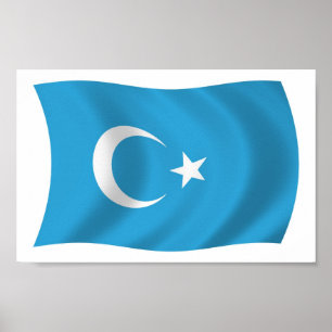Impresión de Poster de bandera uigur de Xinjianj