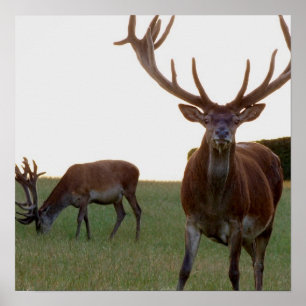 Impresión de Poster de bloques