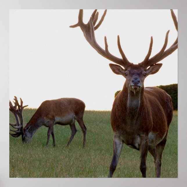Impresión de Poster de bloques (Frente)