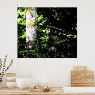 Impresión de Poster de brillo de bosque