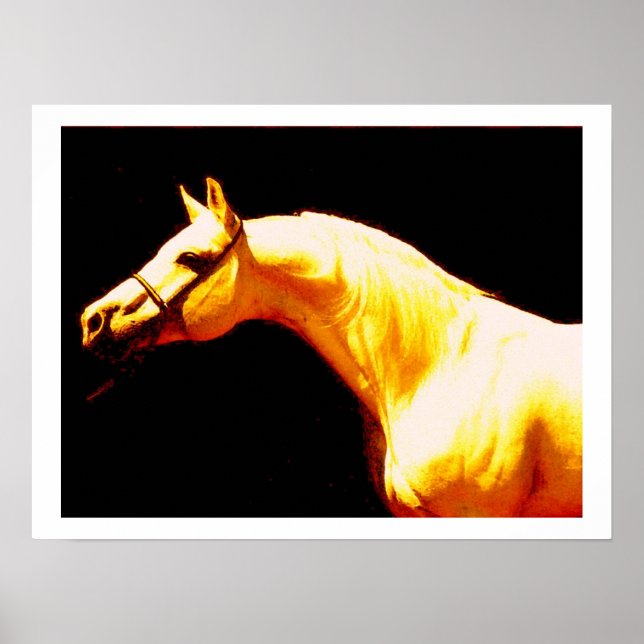 Impresión de Poster de caballos (Frente)