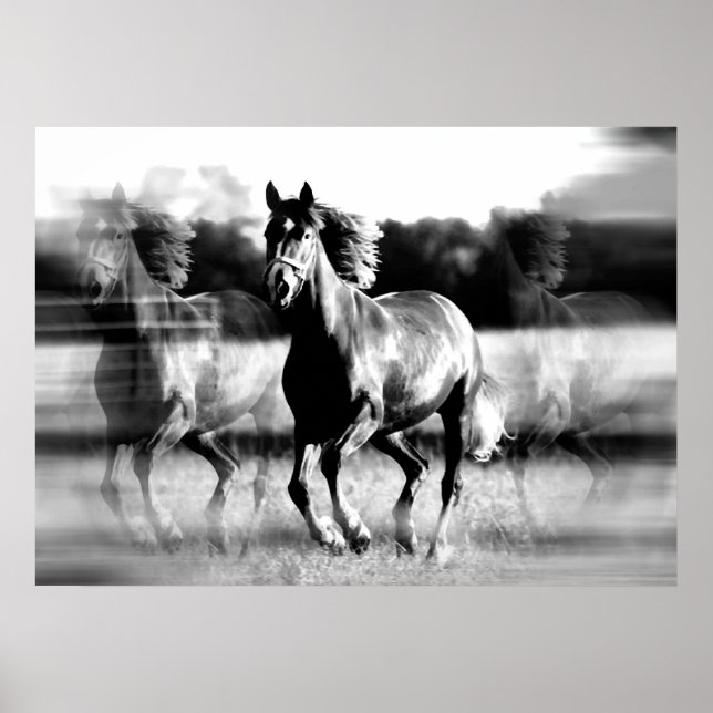 Impresión de Poster de caballos en funcionamiento  (Frente)