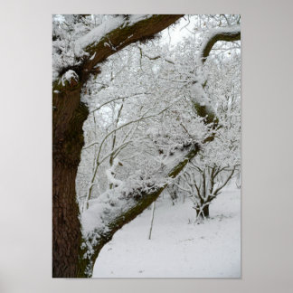Impresión de Poster de escenas de nieve en inviern