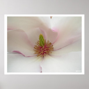 Impresión de Poster de flor blanca de impresión de