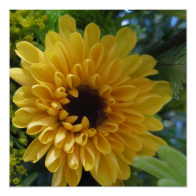 Impresión de Poster de flores amarillas (Anverso)