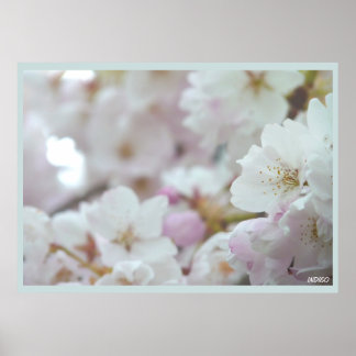 Impresión de Poster de flores blancas con flores d