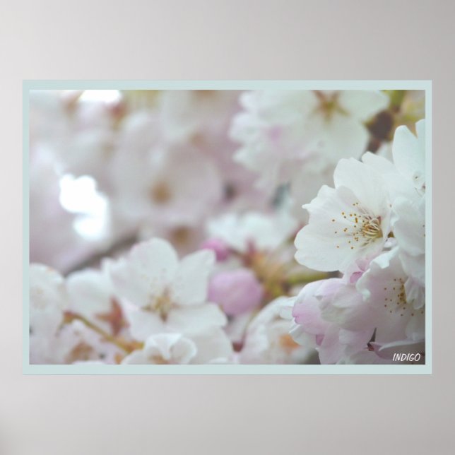 Impresión de Poster de flores blancas con flores d (Frente)