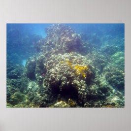 Impresión de Poster de fotografía submarino