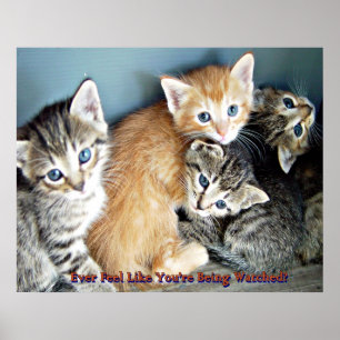 Impresión de poster de gatitos recortados