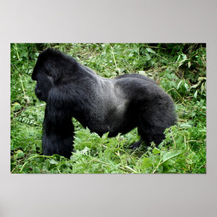 Impresión de poster de gorilas de Silverback