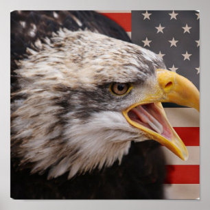 Impresión de Poster de imágenes de águila patrióti