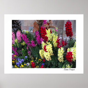 Impresión de Poster de jardín hermoso