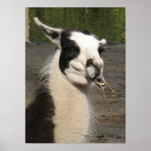 Impresión de Poster de llamadas