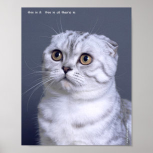 Impresión de Poster de Mascotas tristes y solitari