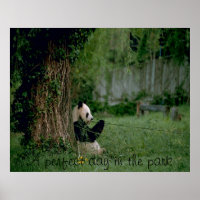 Impresión de poster de oso panda