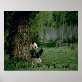 Impresión de poster de oso panda
