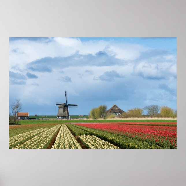 Impresión de poster de paisaje de molino de viento (Frente)