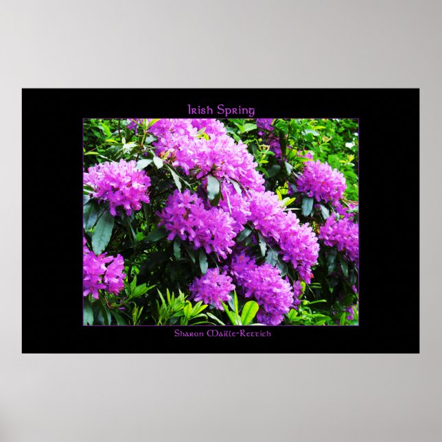 Impresión de Poster de primavera irlandesa (Frente)