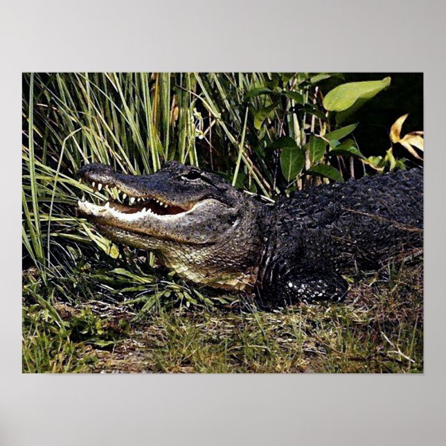 Impresión de Poster de retrato de ligador (Frente)