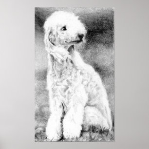 Impresión de Poster de retrato de perro de Bedling