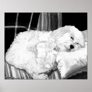 Impresión de Poster de retrato de perro de Cockapo