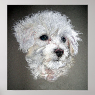 Impresión de Poster de retrato de perro de fríjón 