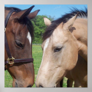 Impresión de Poster de romance de caballo