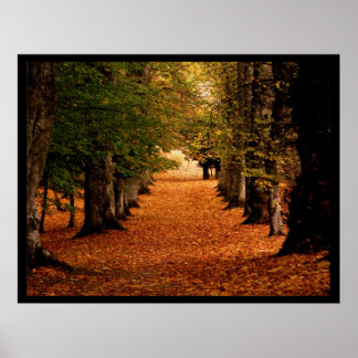 Impresión de Poster de ruta de otoño