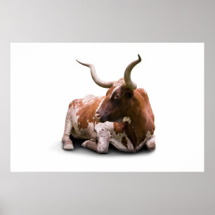 Impresión de Poster de Texas Longhorn