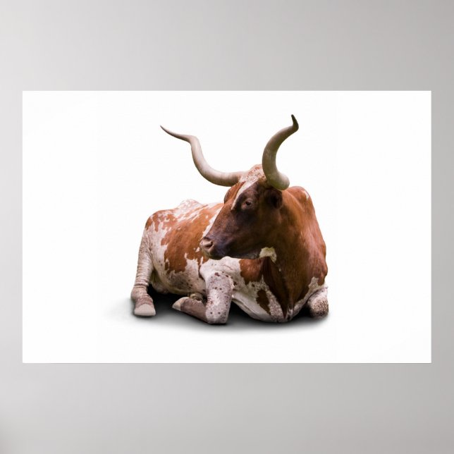Impresión de Poster de Texas Longhorn (Frente)