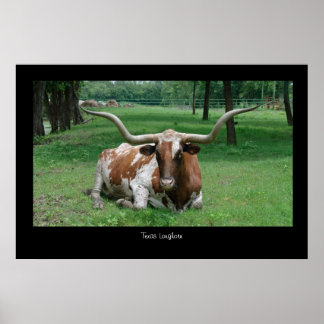 Impresión de Poster de Texas Longhorn
