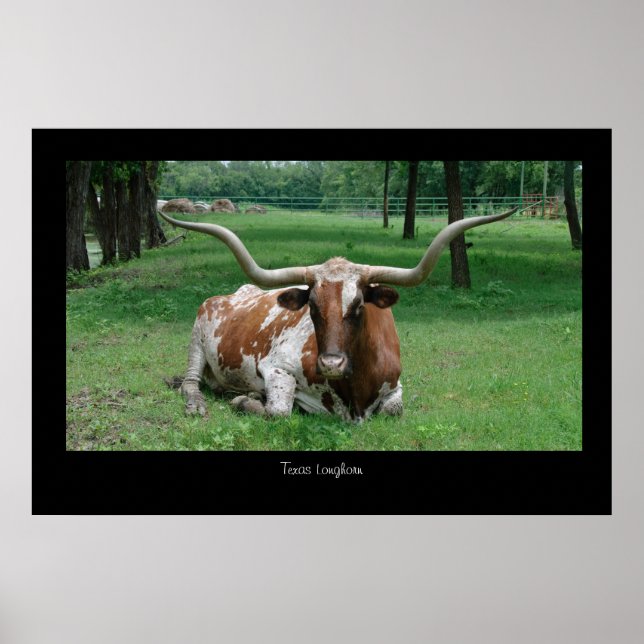 Impresión de Poster de Texas Longhorn (Frente)