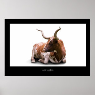 Impresión de Poster de Texas Longhorn