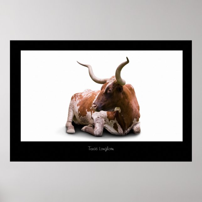 Impresión de Poster de Texas Longhorn (Frente)