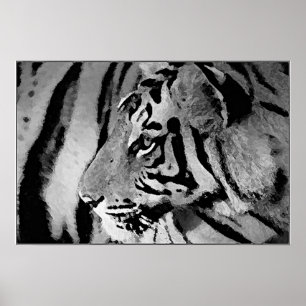 Impresión de Poster de tigres blancos y negros