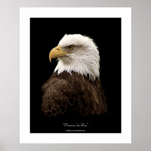 Impresión de Poster de vida silvestre de águila ca